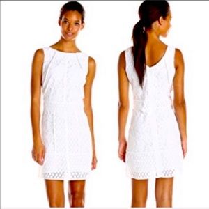 Adrianna Papell cotton cocktail dress